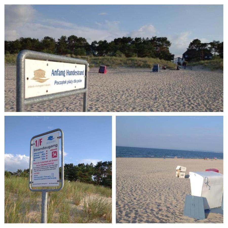 "Zanderbude" Heringsdorf  Buitenkant foto